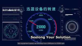 Введение компании Seelong